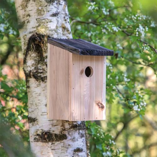 Birdhouse with Easter eggs - Image 5